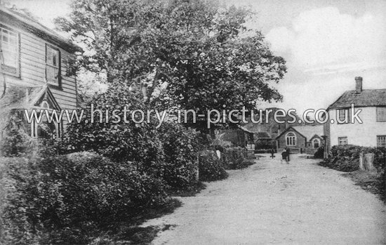 The Village, Blackmore, Essex. c.1905